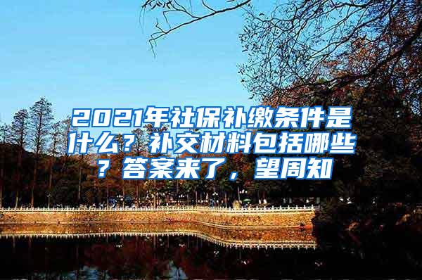 2021年社保补缴条件是什么？补交材料包括哪些？答案来了，望周知