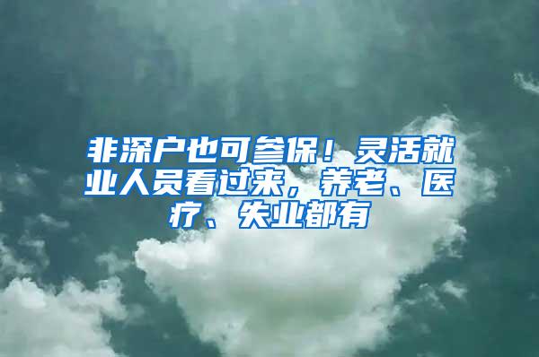 非深户也可参保！灵活就业人员看过来，养老、医疗、失业都有