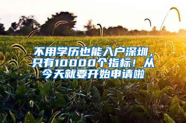 不用学历也能入户深圳，只有10000个指标！从今天就要开始申请啦