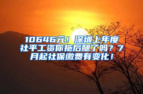 10646元！深圳上年度社平工资你拖后腿了吗？7月起社保缴费有变化！