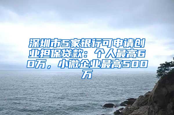 深圳市5家银行可申请创业担保贷款：个人最高60万，小微企业最高500万