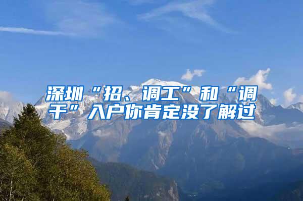 深圳“招、调工”和“调干”入户你肯定没了解过