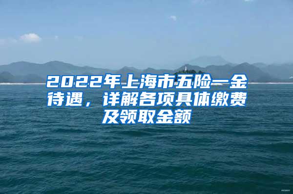 2022年上海市五险一金待遇，详解各项具体缴费及领取金额