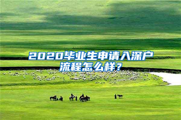 2020毕业生申请入深户流程怎么样？