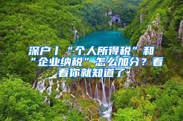 深户丨“个人所得税”和“企业纳税”怎么加分？看看你就知道了