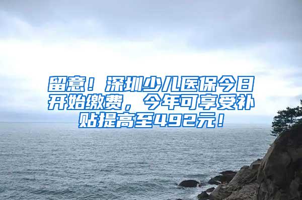 留意！深圳少儿医保今日开始缴费，今年可享受补贴提高至492元！