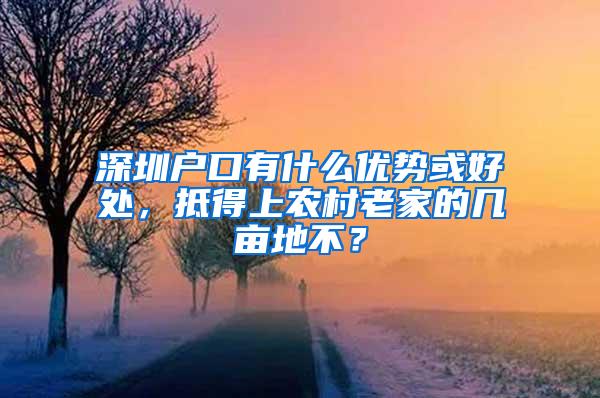 深圳户口有什么优势或好处，抵得上农村老家的几亩地不？