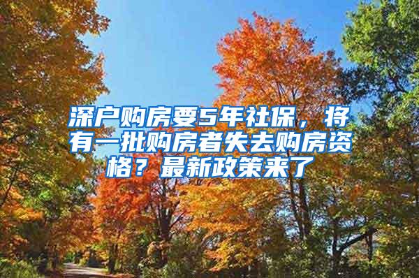 深户购房要5年社保，将有一批购房者失去购房资格？最新政策来了