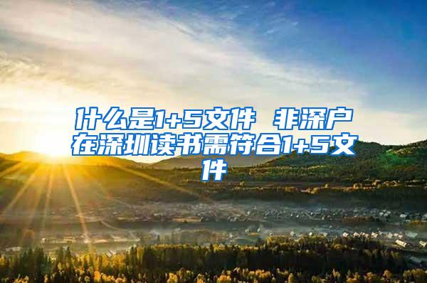 什么是1+5文件 非深户在深圳读书需符合1+5文件