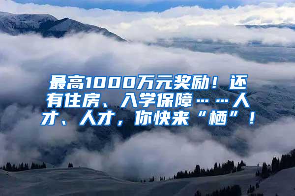 最高1000万元奖励！还有住房、入学保障……人才、人才，你快来“栖”！