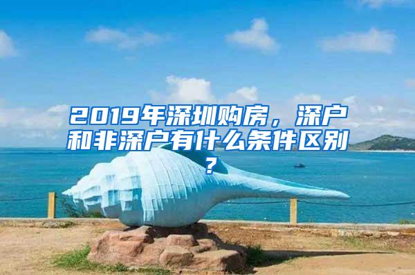 2019年深圳购房，深户和非深户有什么条件区别？