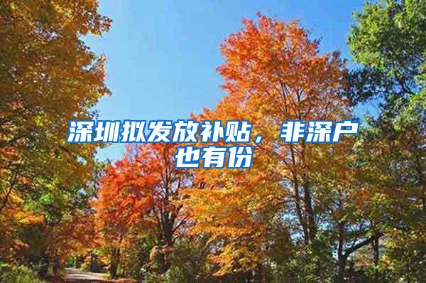 深圳拟发放补贴，非深户也有份