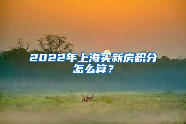 2022年上海买新房积分怎么算？