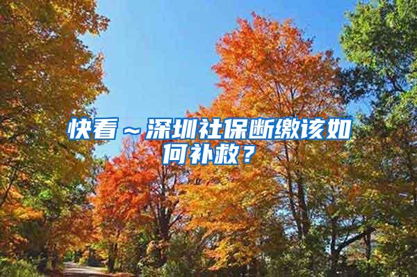 快看～深圳社保断缴该如何补救？