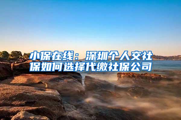 小保在线：深圳个人交社保如何选择代缴社保公司