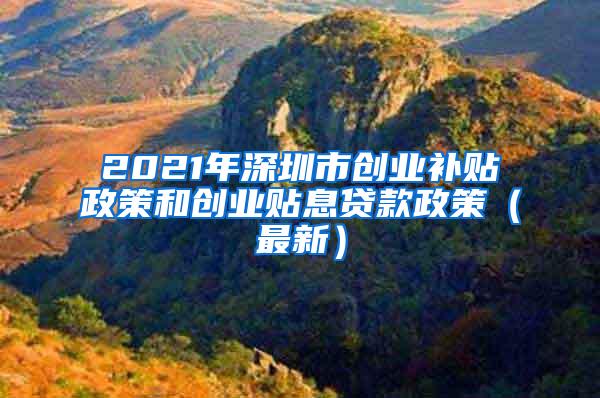 2021年深圳市创业补贴政策和创业贴息贷款政策（最新）