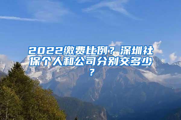 2022缴费比例？深圳社保个人和公司分别交多少？