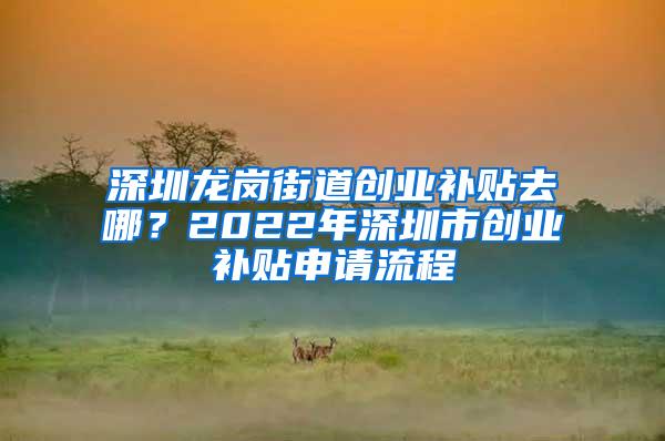 深圳龙岗街道创业补贴去哪？2022年深圳市创业补贴申请流程