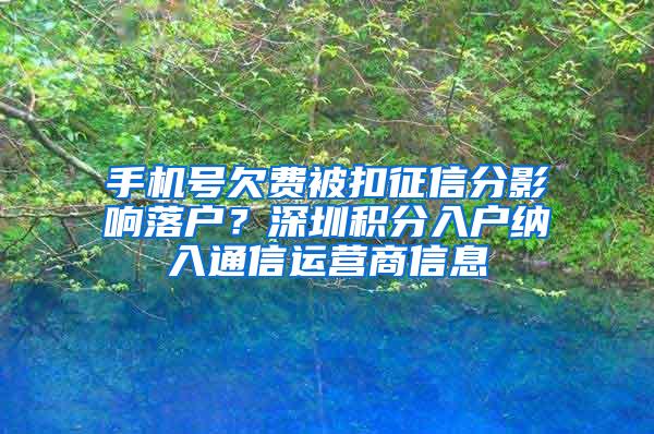 手机号欠费被扣征信分影响落户？深圳积分入户纳入通信运营商信息