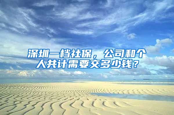 深圳一档社保，公司和个人共计需要交多少钱？