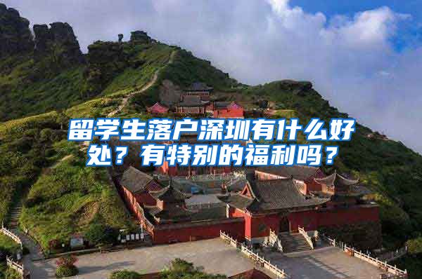 留学生落户深圳有什么好处？有特别的福利吗？