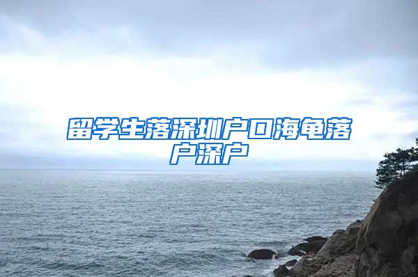 留学生落深圳户口海龟落户深户