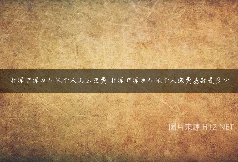 非深户深圳社保个人怎么交费 非深户深圳社保个人缴费基数是多少