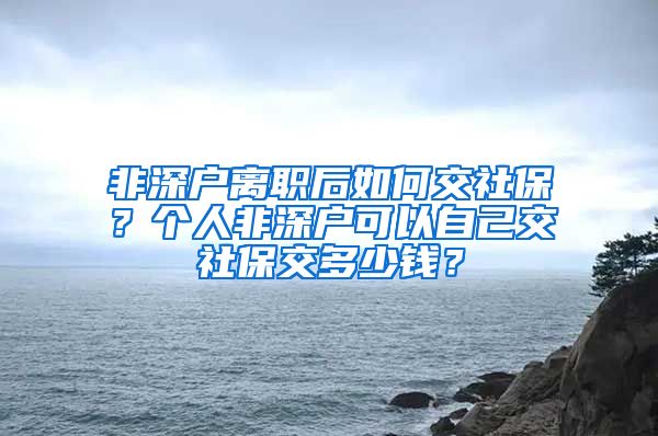 非深户离职后如何交社保？个人非深户可以自己交社保交多少钱？