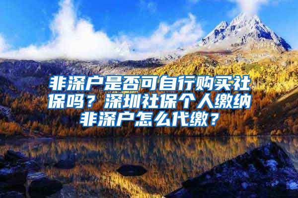 非深户是否可自行购买社保吗？深圳社保个人缴纳非深户怎么代缴？