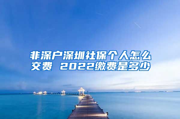 非深户深圳社保个人怎么交费 2022缴费是多少