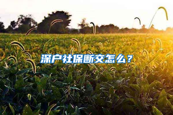 深户社保断交怎么？