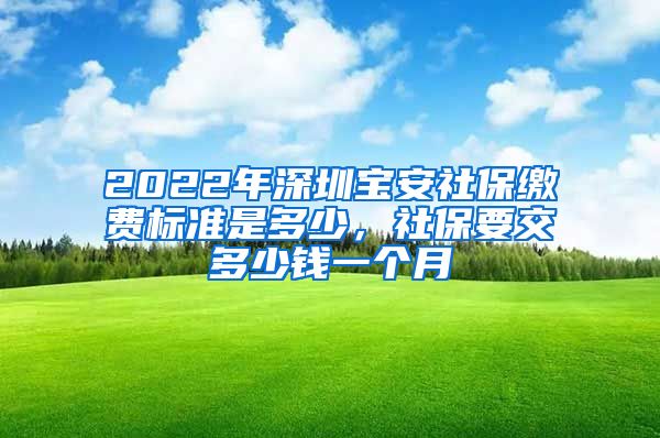 2022年深圳宝安社保缴费标准是多少，社保要交多少钱一个月