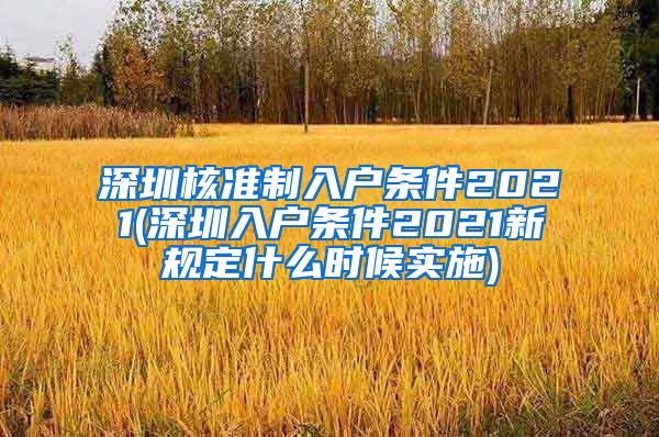 深圳核准制入户条件2021(深圳入户条件2021新规定什么时候实施)