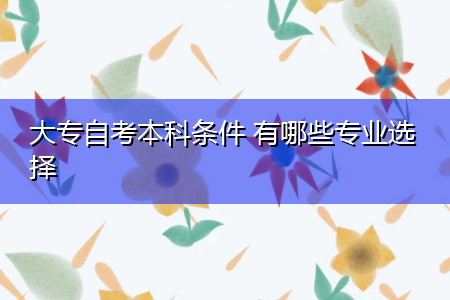 大专自考本科条件 有哪些专业选择