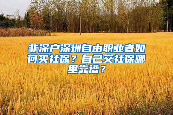 非深户深圳自由职业者如何买社保？自己交社保哪里靠谱？