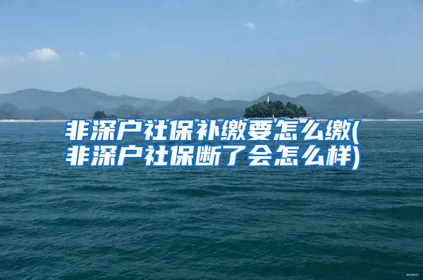 非深户社保补缴要怎么缴(非深户社保断了会怎么样)