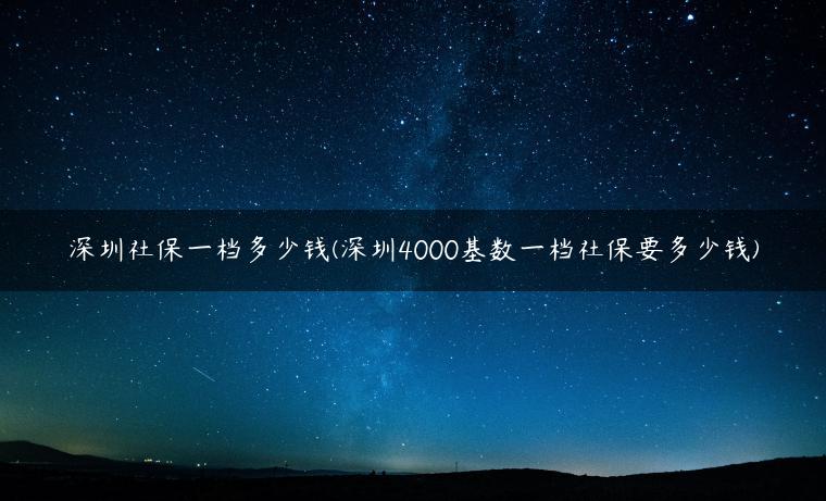 深圳社保一档多少钱(深圳4000基数一档社保要多少钱)