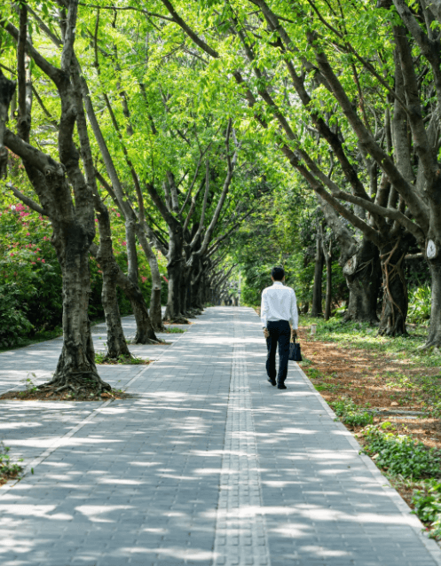 医保档次变更