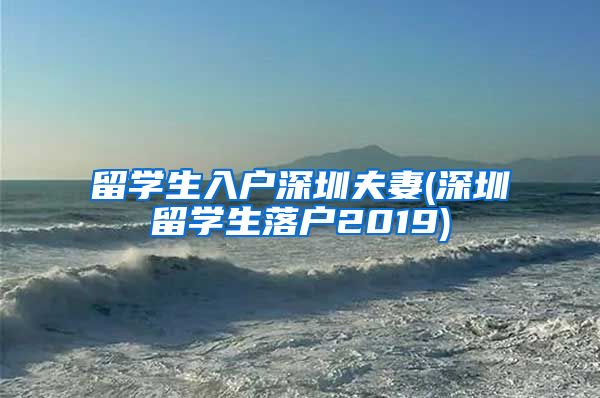 留学生入户深圳夫妻(深圳留学生落户2019)