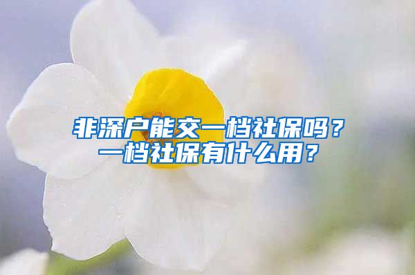 非深户能交一档社保吗？一档社保有什么用？