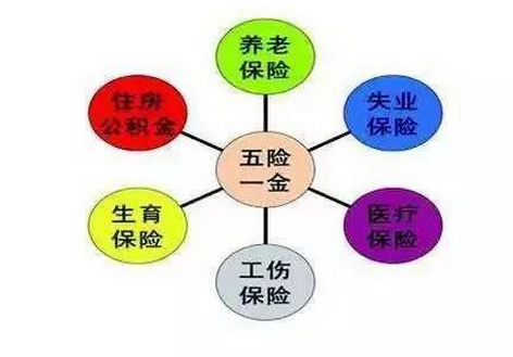 深圳五险一金最新缴纳比例标准(新政策)