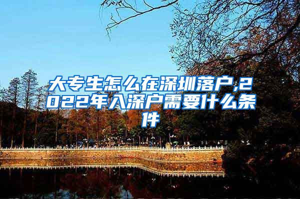 大专生怎么在深圳落户,2022年入深户需要什么条件