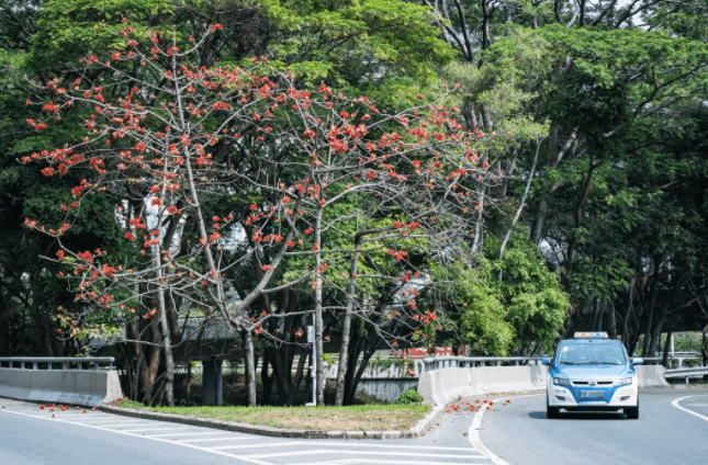 买房