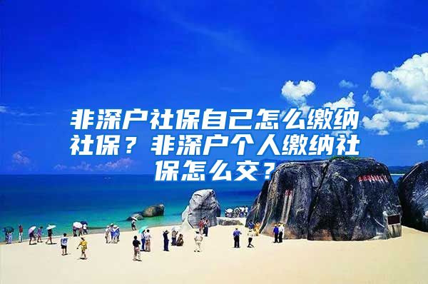 非深户社保自己怎么缴纳社保？非深户个人缴纳社保怎么交？