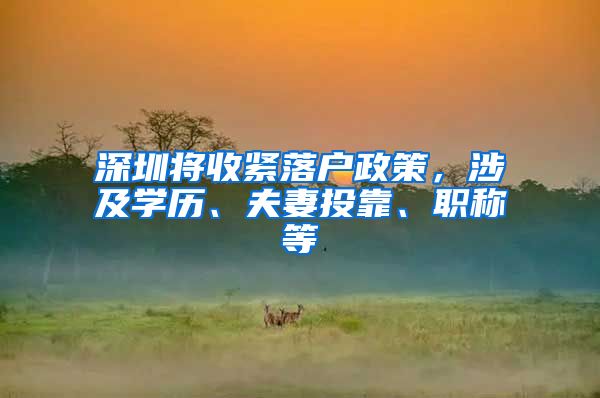 深圳将收紧落户政策，涉及学历、夫妻投靠、职称等