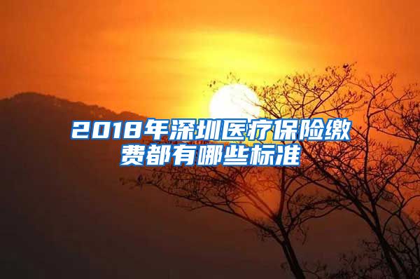 2018年深圳医疗保险缴费都有哪些标准