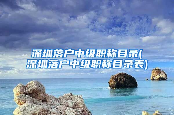 深圳落户中级职称目录(深圳落户中级职称目录表)