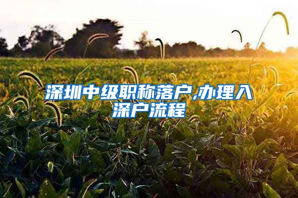 深圳中级职称落户,办理入深户流程