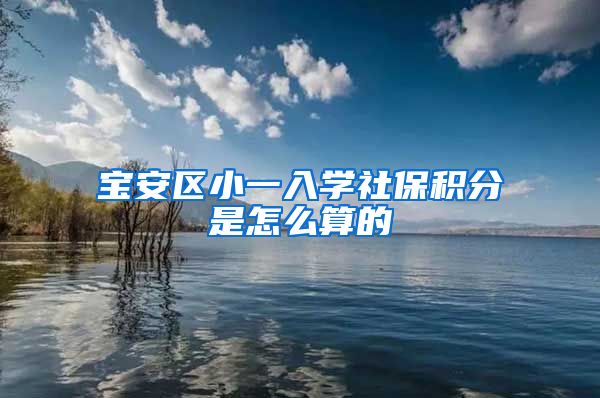 宝安区小一入学社保积分是怎么算的