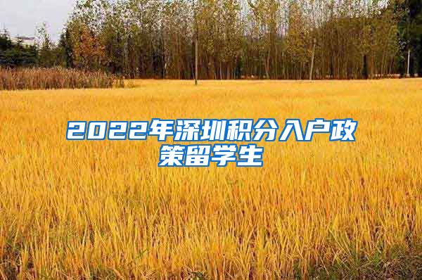 2022年深圳积分入户政策留学生